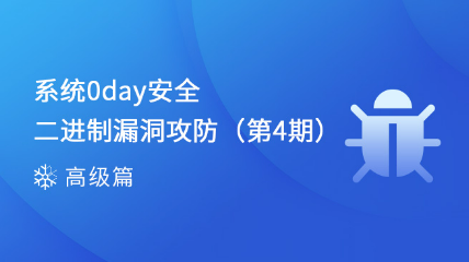 漏洞分析